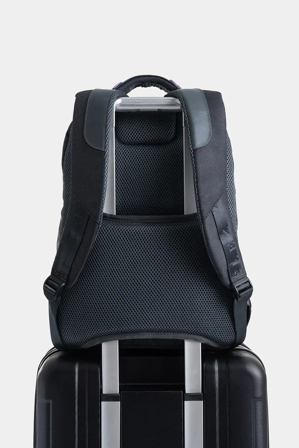 MORRAL VELEZ LIVING 2 CURADOR 3