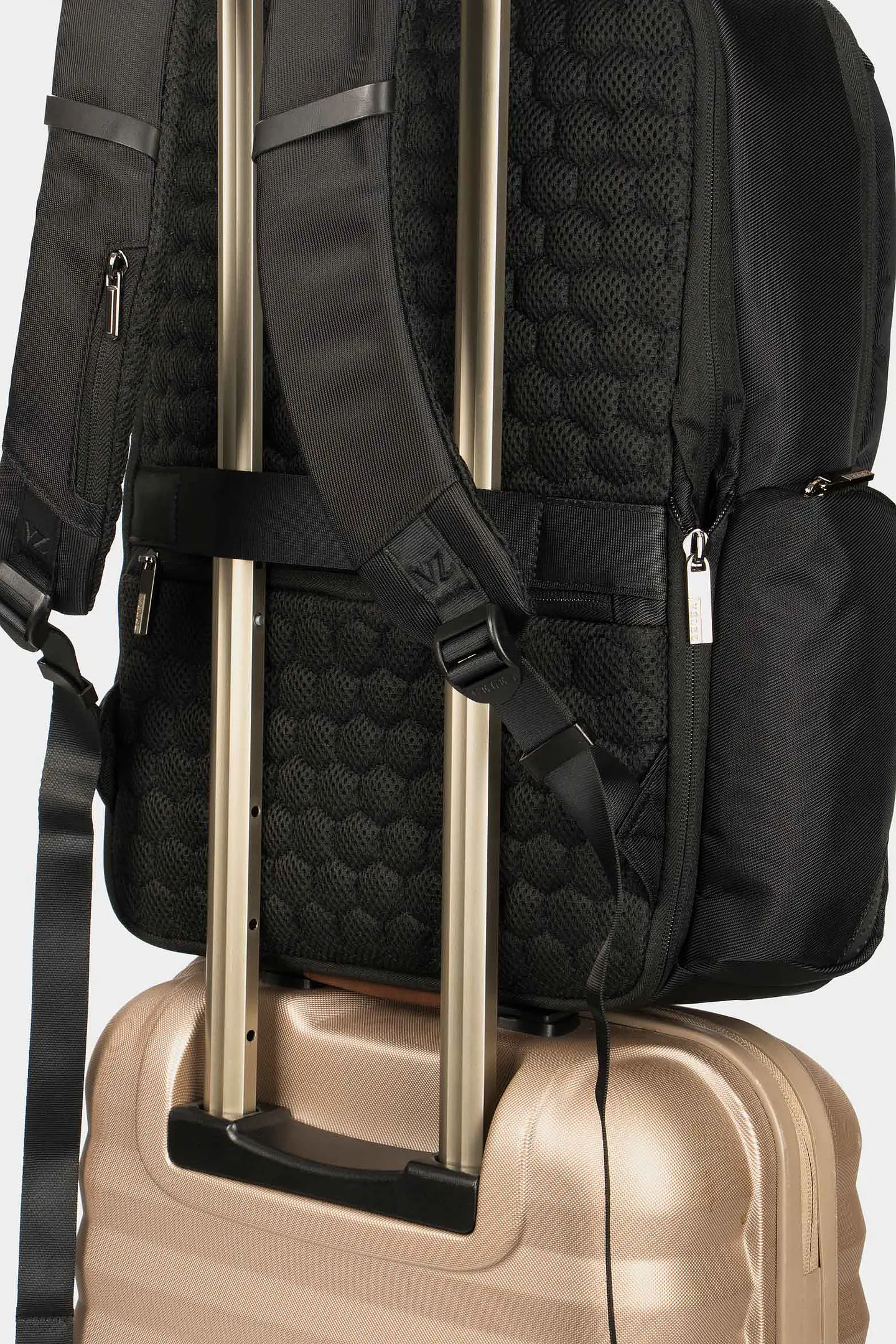  Tula Morral Velez Torel  3