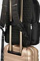  Tula Morral Velez Torel  - Miniatura 3