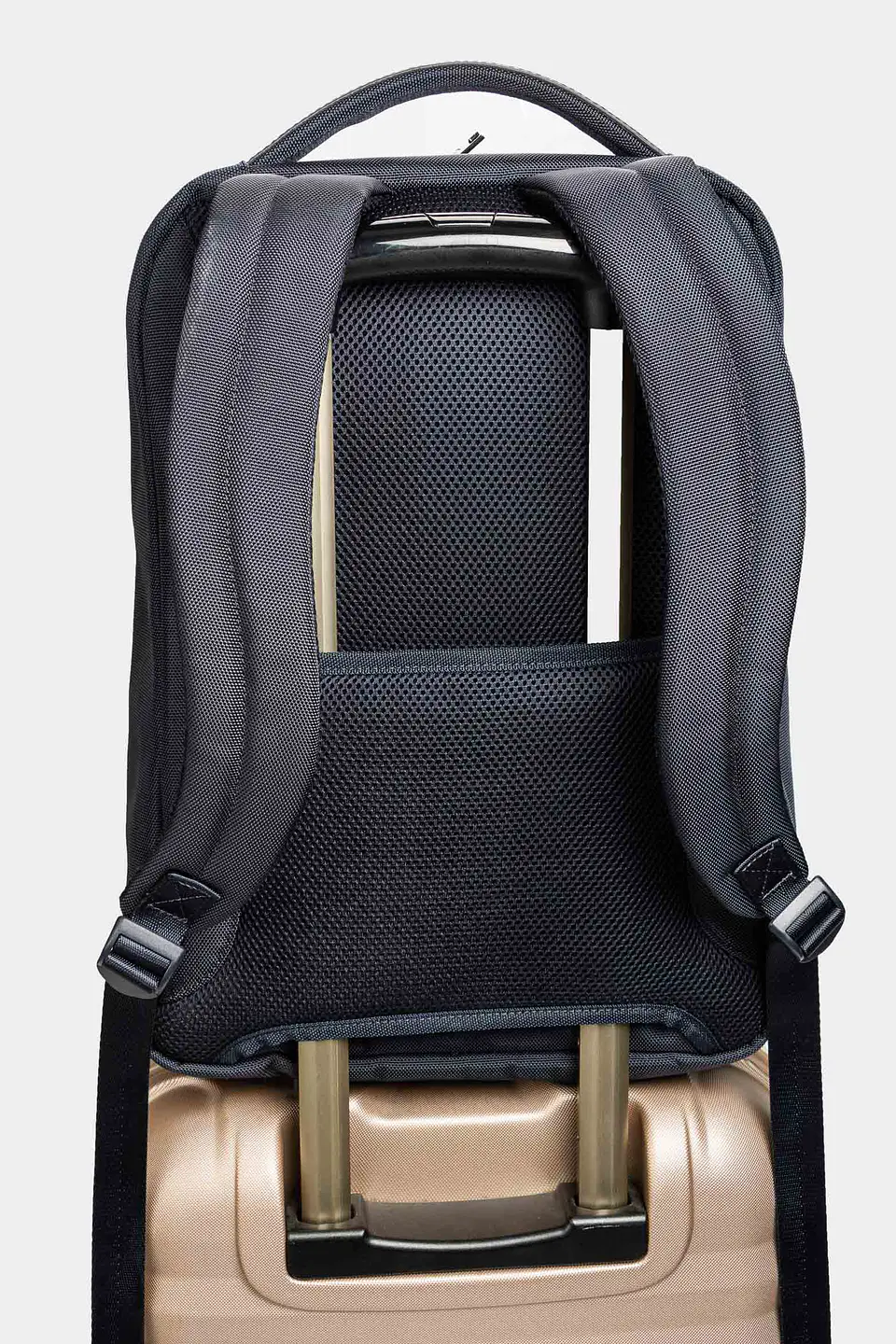 Tula Morral  Velez Bolt 6