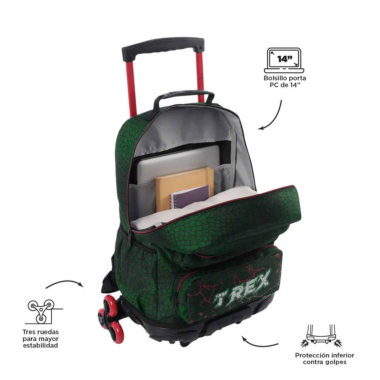 Morral Tottto 3 Rue Bomper Rex Dino L 3