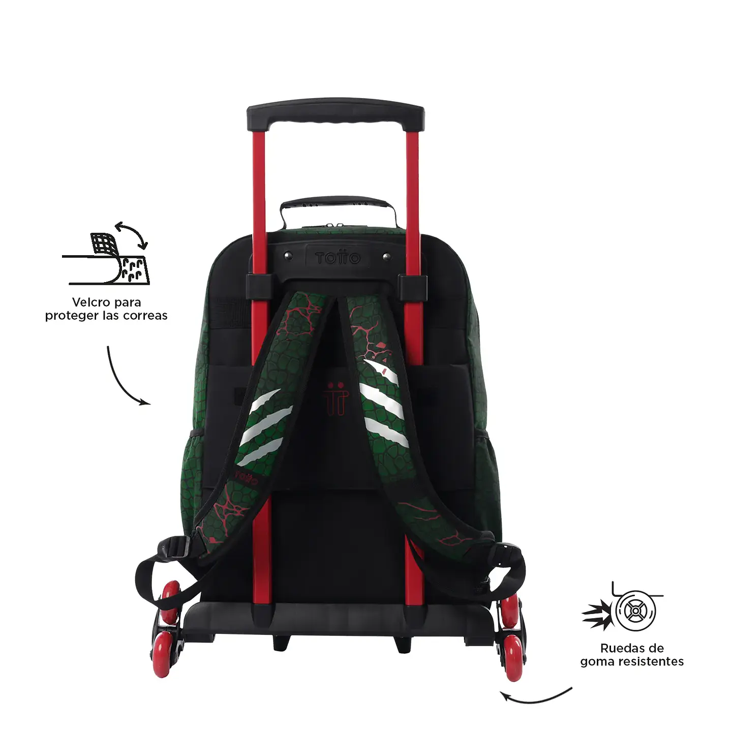 Morral Tottto 3 Rue Bomper Rex Dino L 4