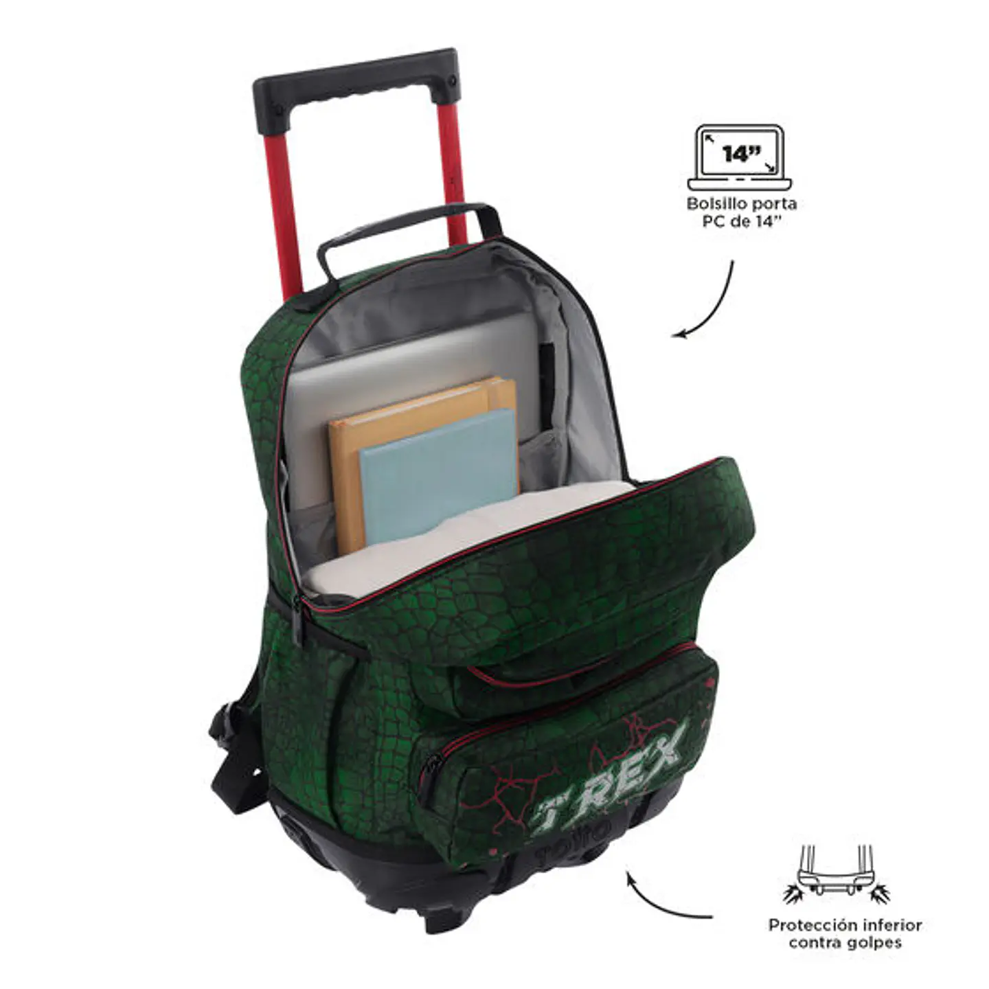  Morral Totto Rue Bomper Rex Dino M 3