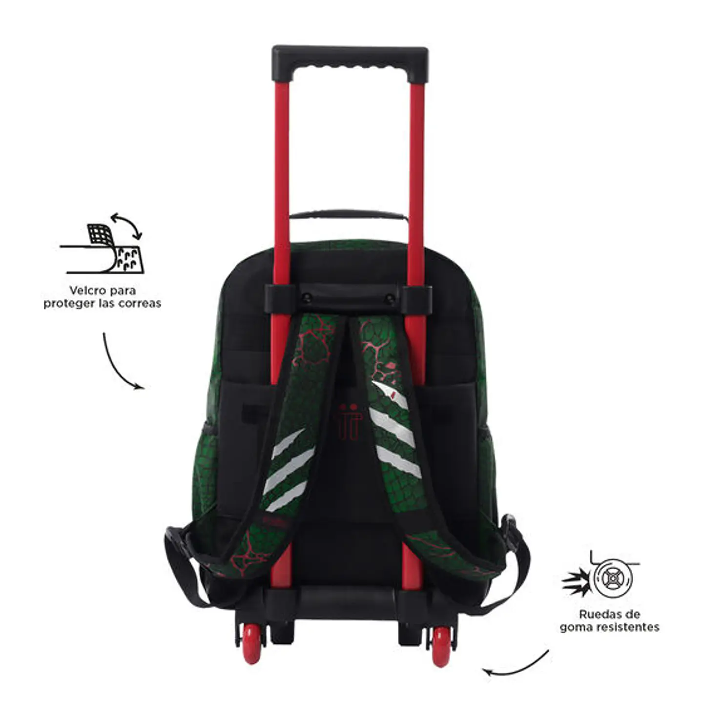  Morral Totto Rue Bomper Rex Dino M 4