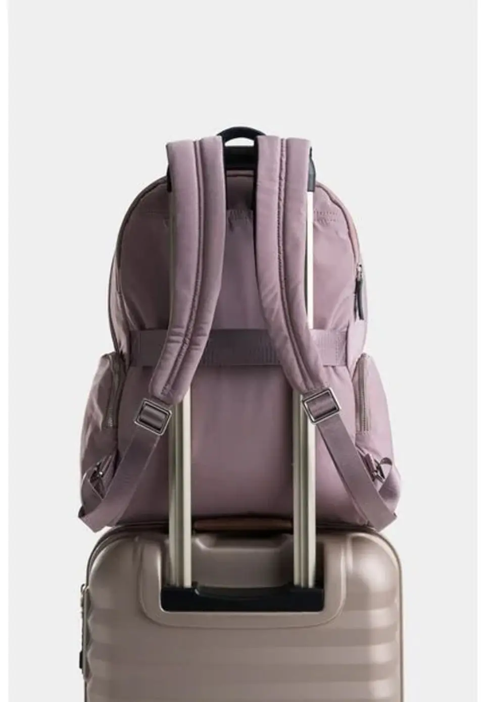 Morral Nappa Charlotte LDS  7