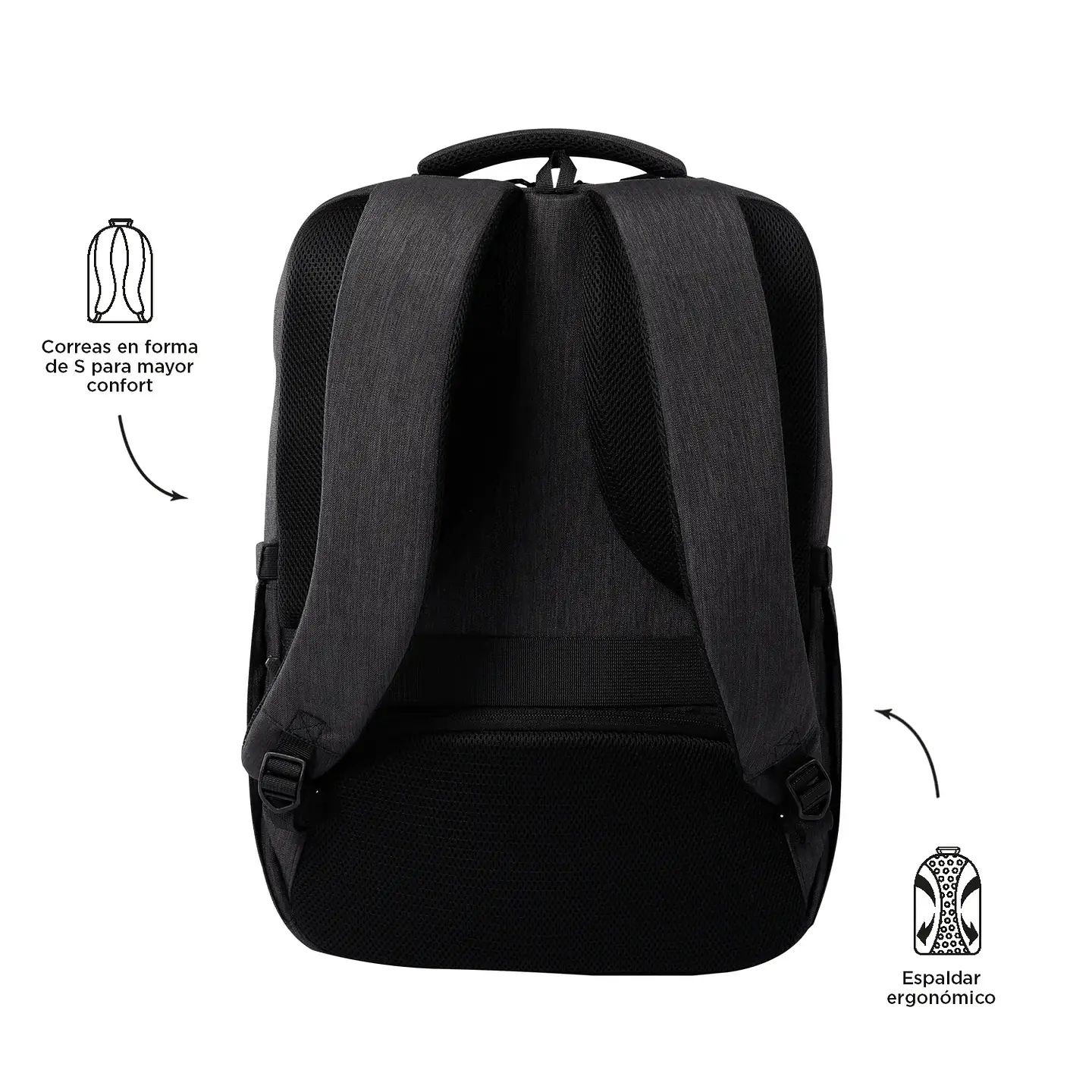 MORRAL TOTTO EJECUTIVO DALLAS 7