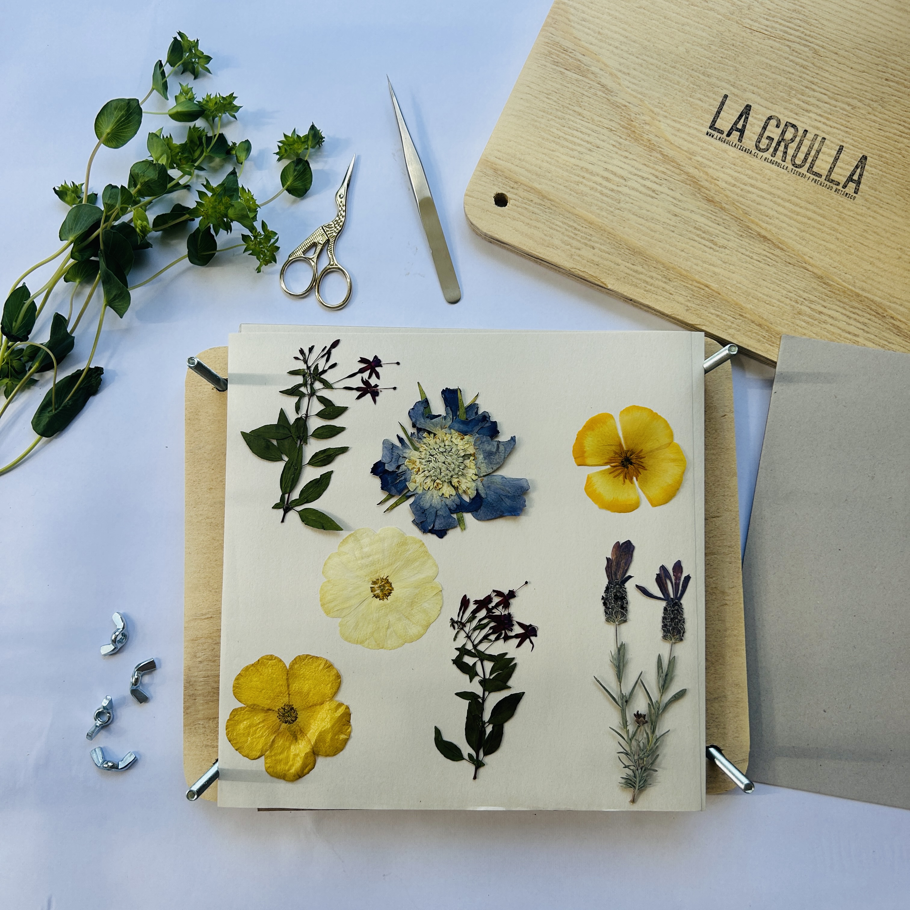 Peakdale Prensa De Flores Rectangular – 29 X 36 Cm De Madera MDF Para Manualidades