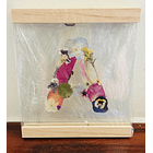 Iniciales Entre Vidrios 3