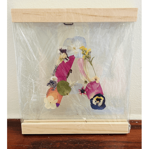 Iniciales Entre Vidrios 3