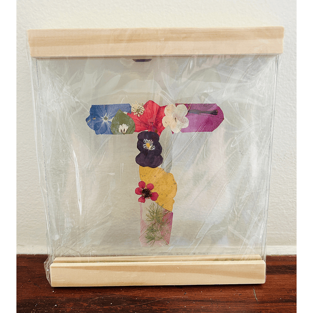 Iniciales Entre Vidrios 9