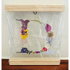 Iniciales Entre Vidrios 5