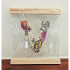 Iniciales Entre Vidrios 2