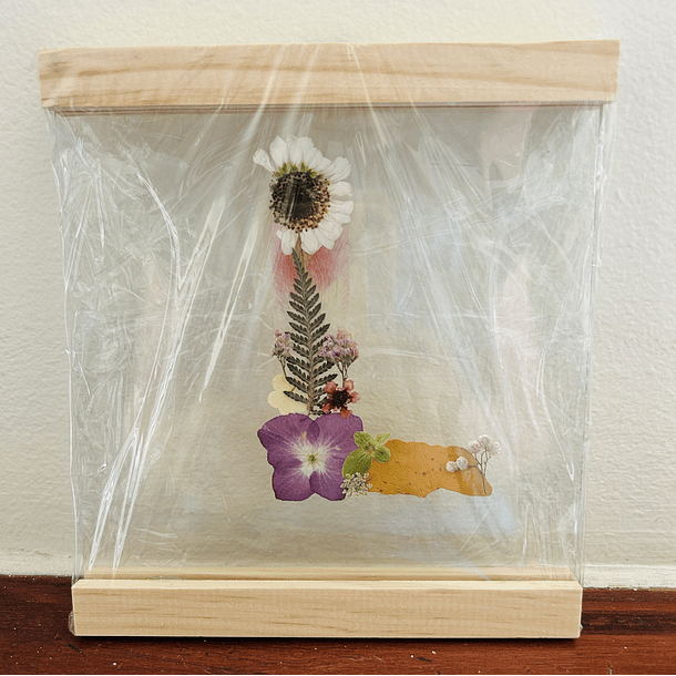 Iniciales Entre Vidrios 8