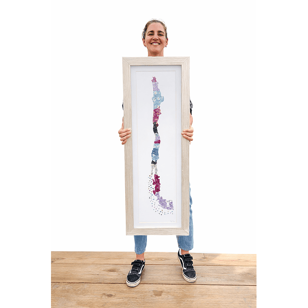 Mapa de chile en Hortensias 