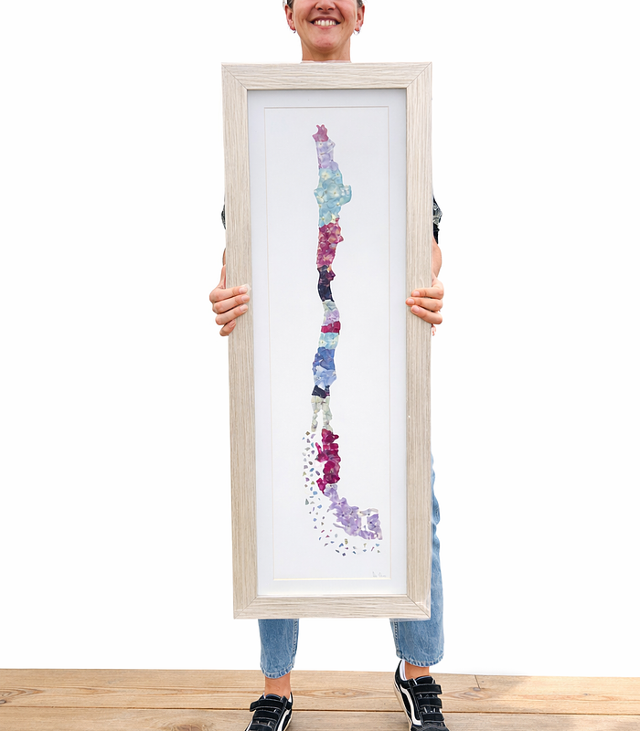 Mapa de chile en Hortensias 