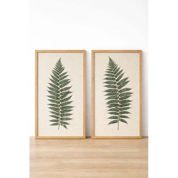 Helechos sobre Lino 1