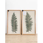 Helechos sobre Lino 3