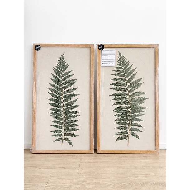 Helechos sobre Lino 3