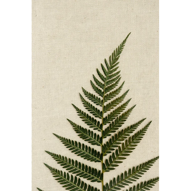 Helechos sobre Lino 2