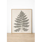 Helecho completo sobre lino  2