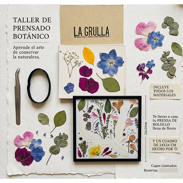 Taller Presencial 2 1