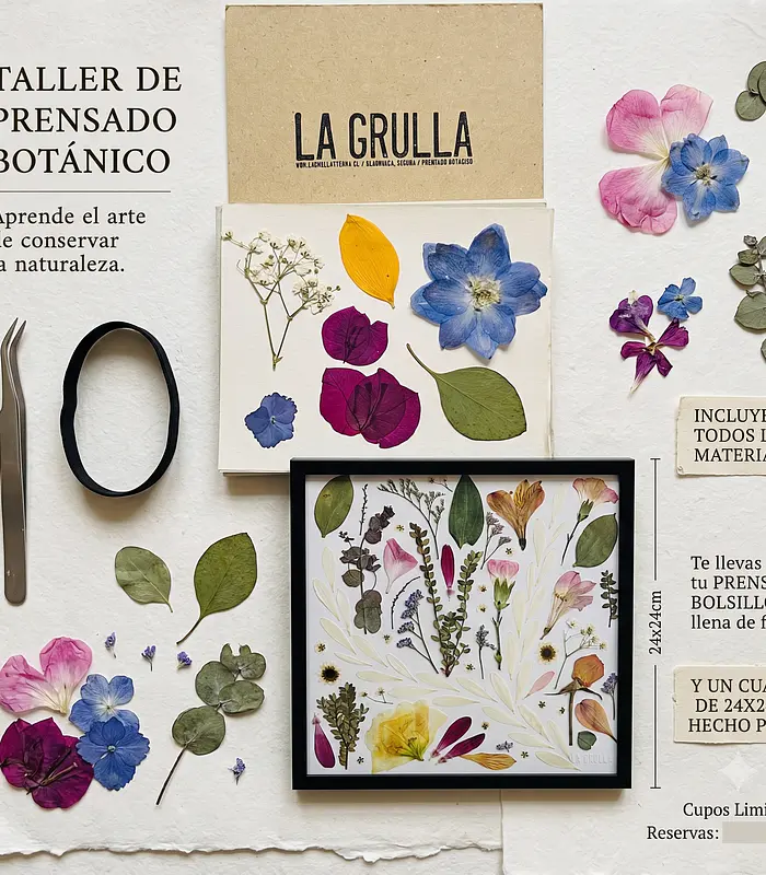 Taller Presencial 2