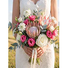 Fanal Botánico Silvestre XL novia 2