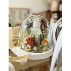 Fanal Botánico S Virgencita 1