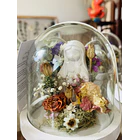 Fanal Botánico S Virgencita 3