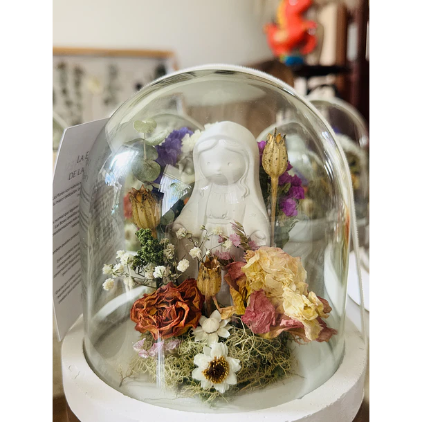 Fanal Botánico S Virgencita 3