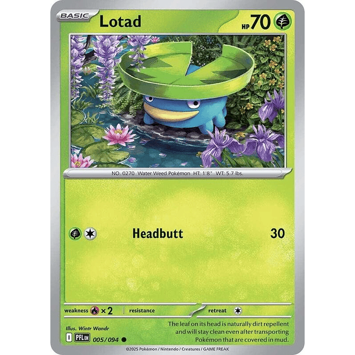 Lotad #005 1