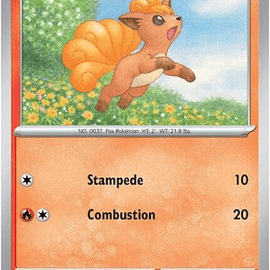Vulpix #019