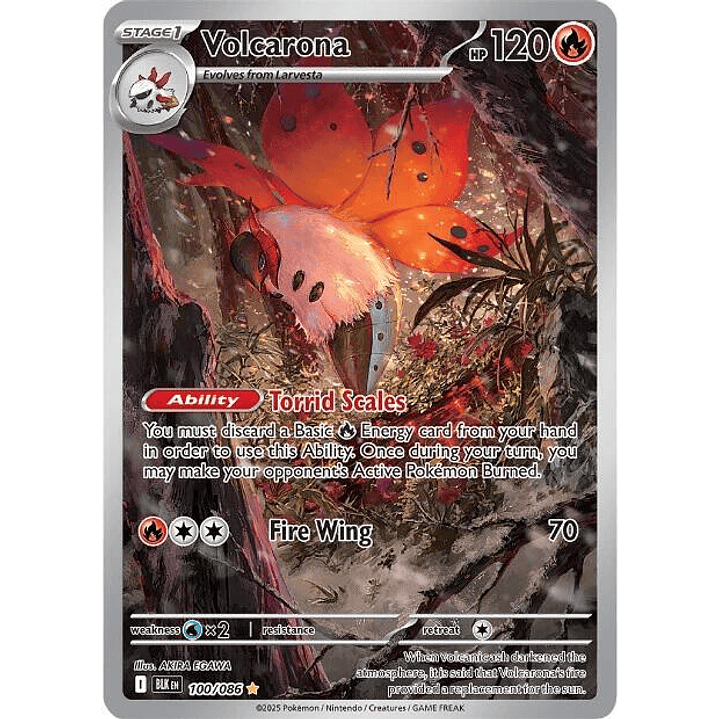 Volcarona #100 1