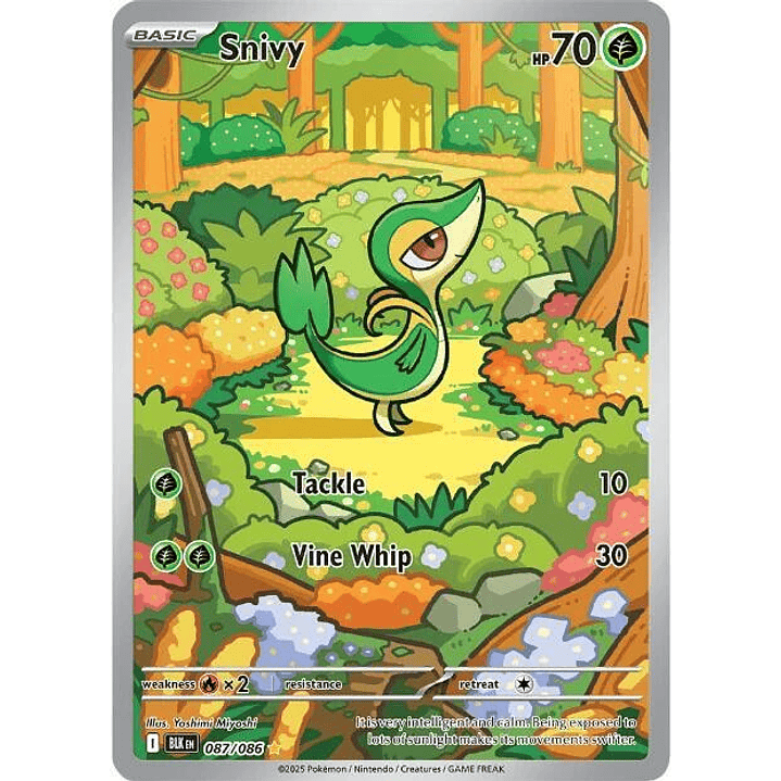 Snivy #087 1