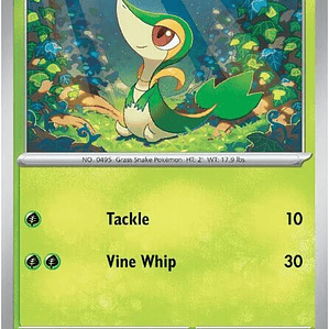 Snivy #001
