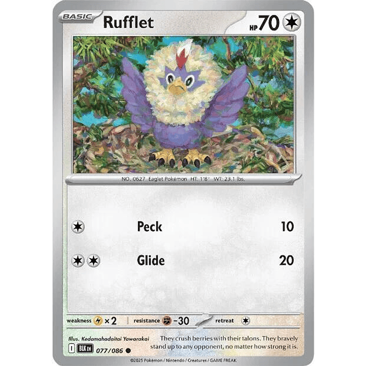 Rufflet #077 1