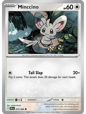 Minccino #075