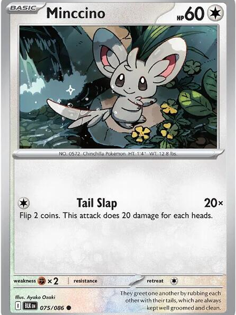 Minccino #075 1