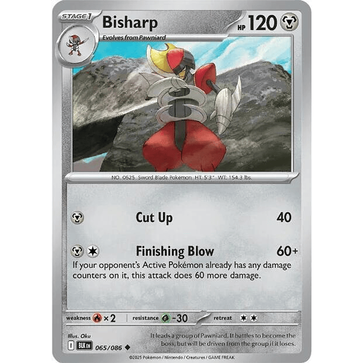 Bisharp #065 1