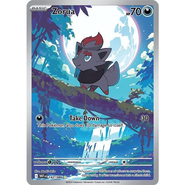 Zorua #142 1