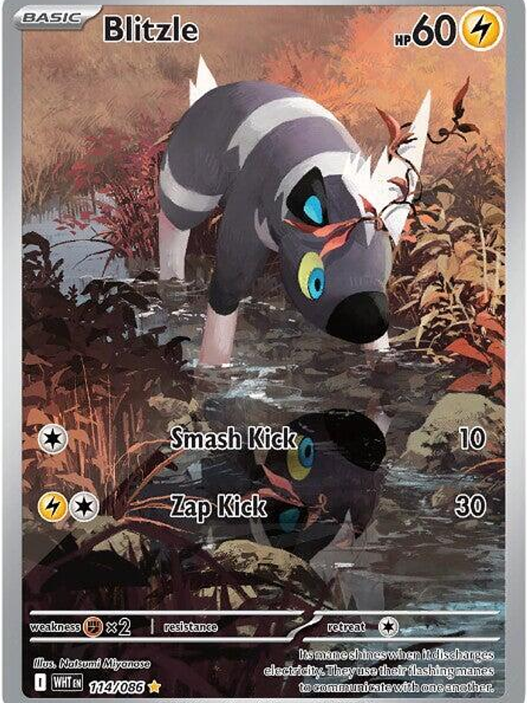 Blitzle #114 1