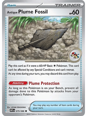 Antique Plume Fossil #079