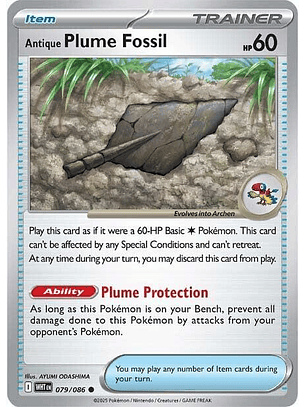 Antique Plume Fossil #079