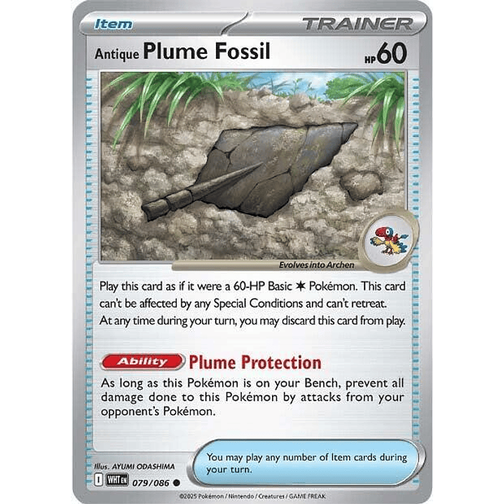 Antique Plume Fossil #079 1