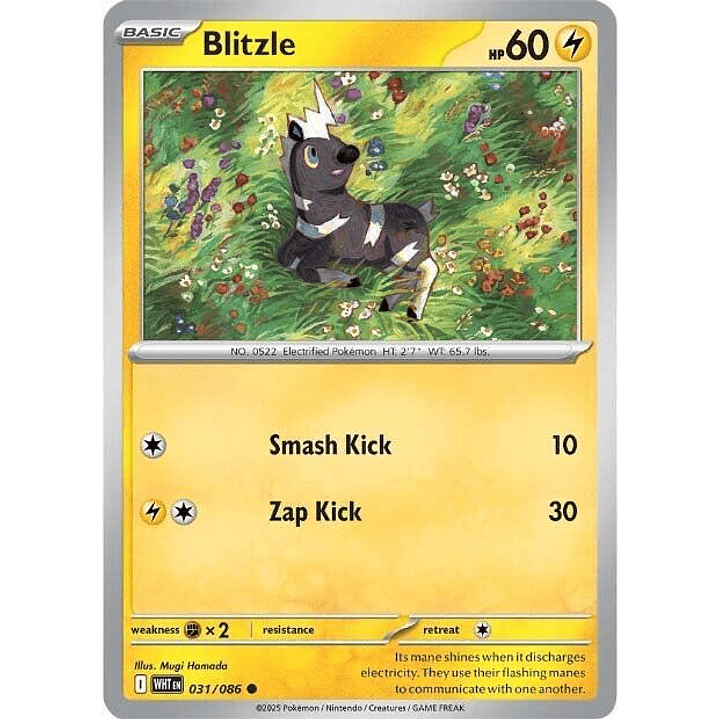 Blitzle #031 1