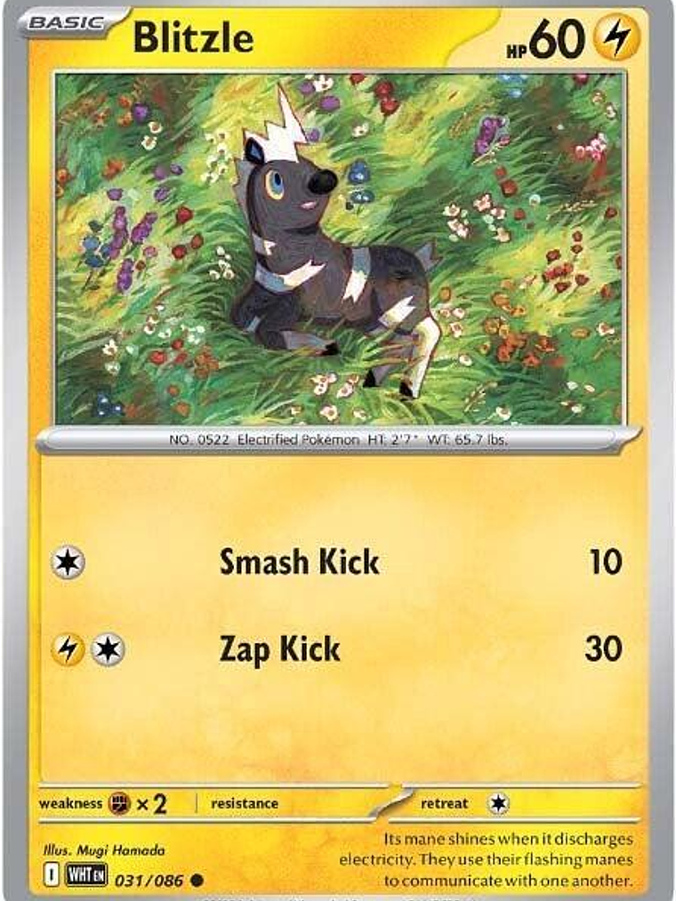 Blitzle #031 1