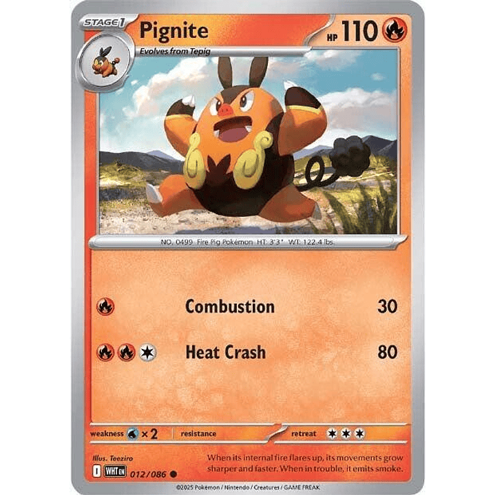 Pignite #012 1