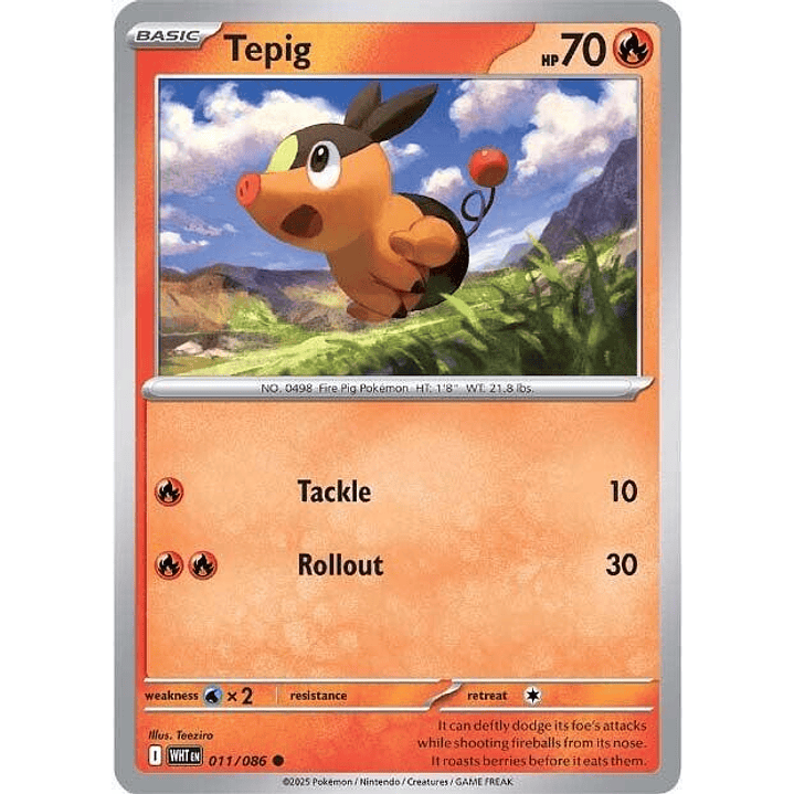 Tepig #011 1