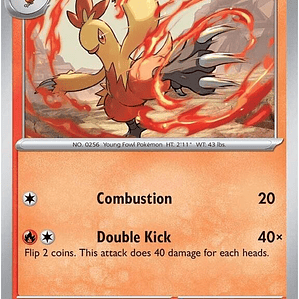 Combusken #041