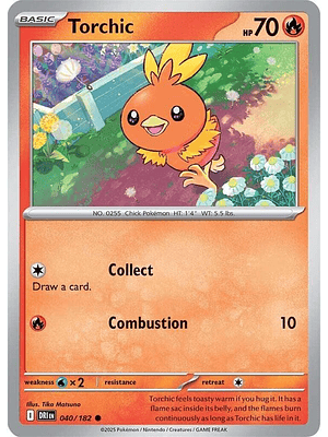 Torchic #040